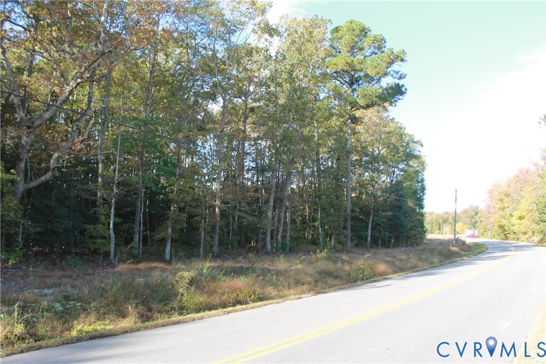 Tbd East River Road Cardinal, VA 23025 - Photo 4 of 49 a view of a forest filled with trees