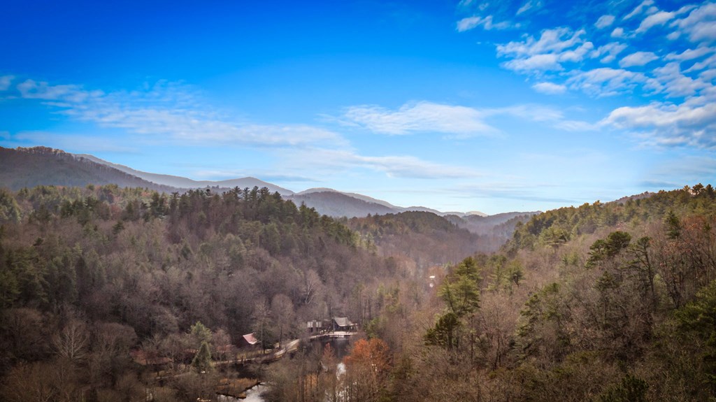 297 Tall Timber Mountain Road Blue Ridge, GA 30513 - Photo 6 of 66