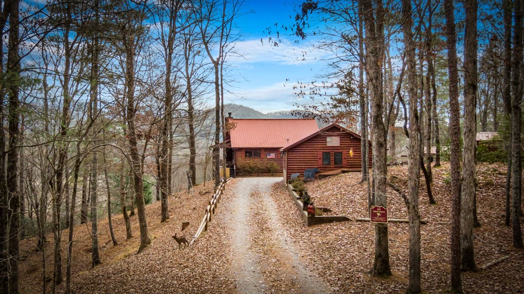297 Tall Timber Mountain Road Blue Ridge, GA 30513 - Photo 61 of 66