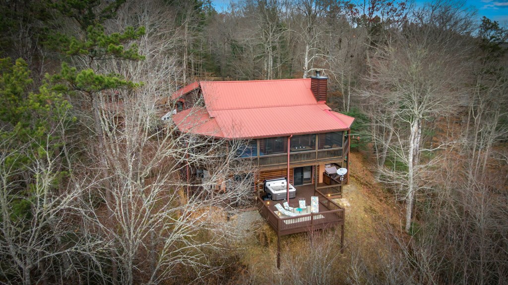 297 Tall Timber Mountain Road Blue Ridge, GA 30513 - Photo 63 of 66