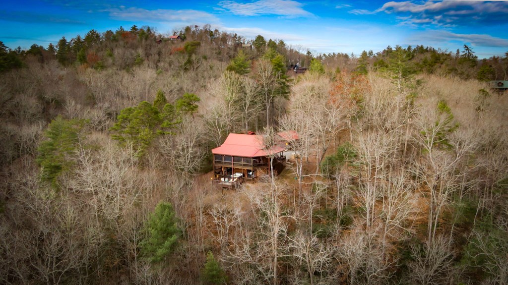 297 Tall Timber Mountain Road Blue Ridge, GA 30513 - Photo 64 of 66