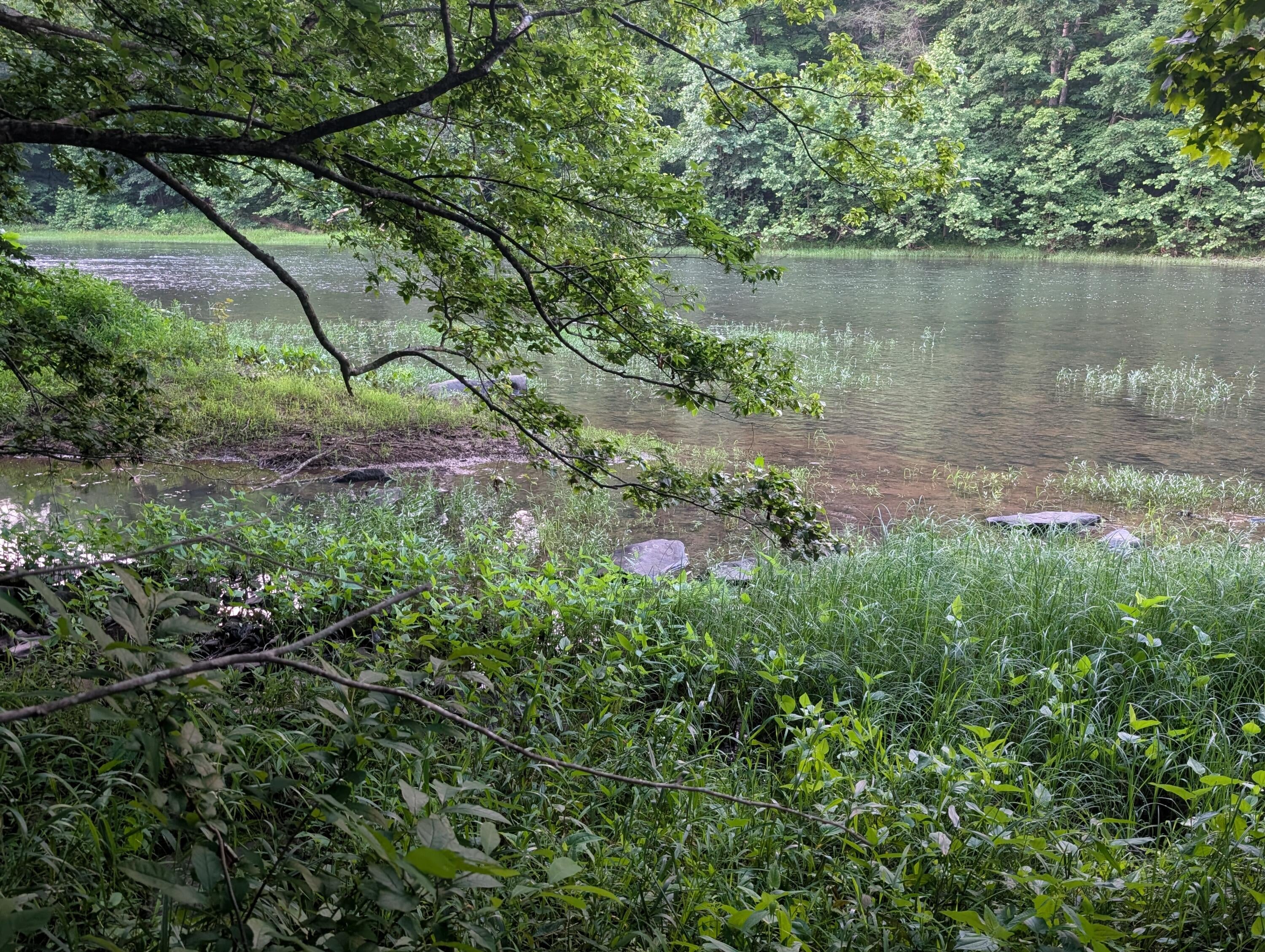Tbd Keister Road Ronceverte, WV 24970 - Photo 12 of 14 Gallery Image 12