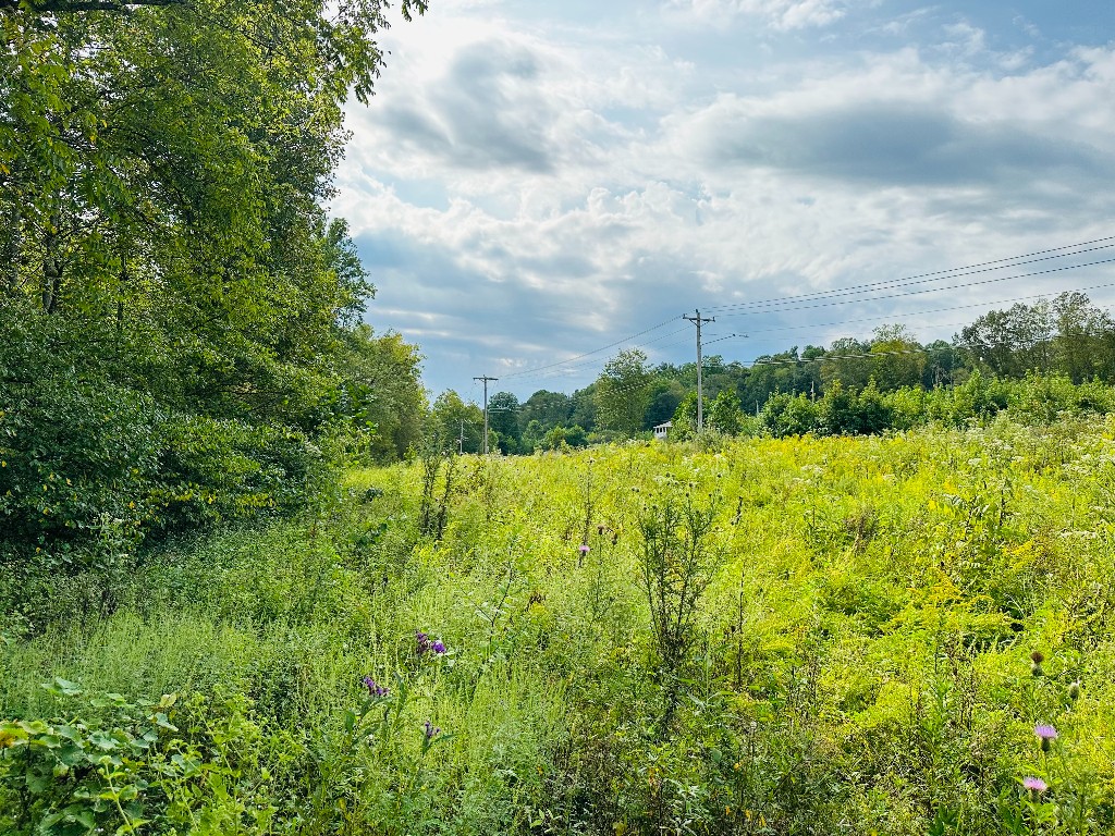 0 Barbeque Road Dickson, TN 37055 - Photo 17 of 17 Gallery Image 17
