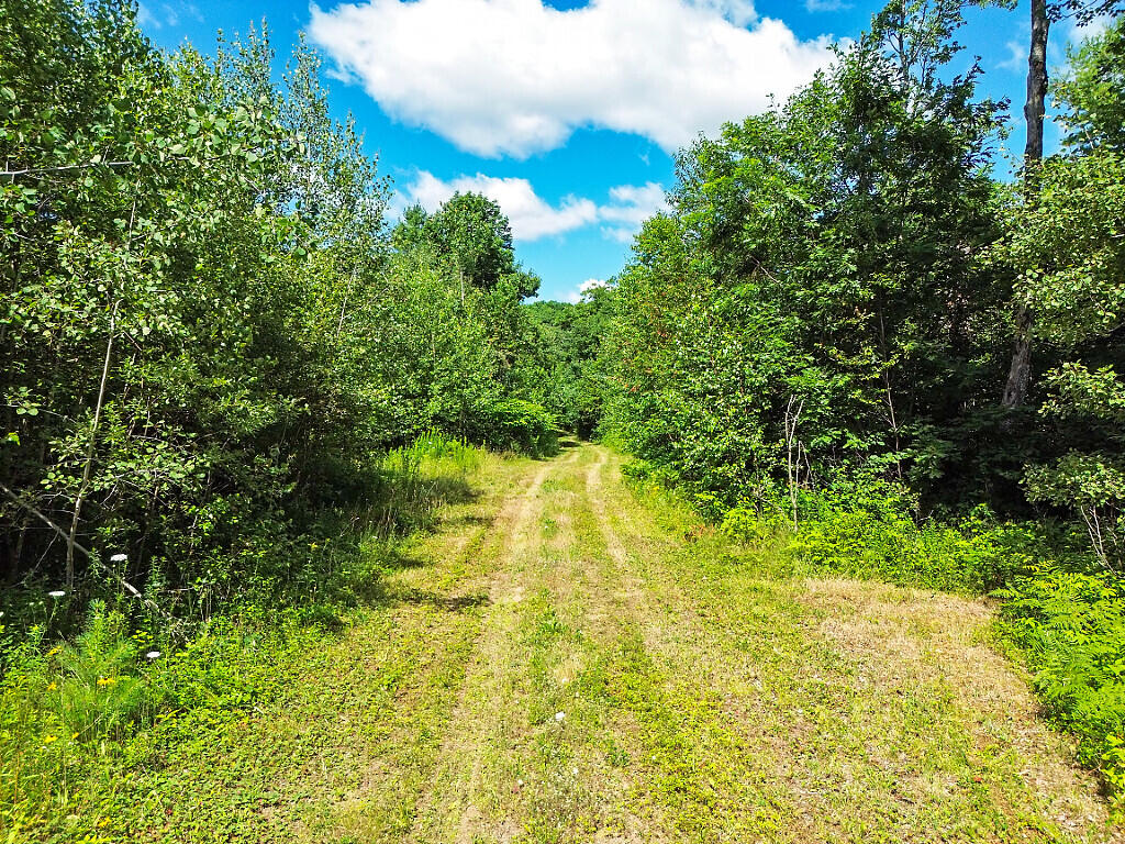 0 Lesperance Road Albion, ME 04910 - Photo 43 of 43 28_DJI_0147_DxO_mls