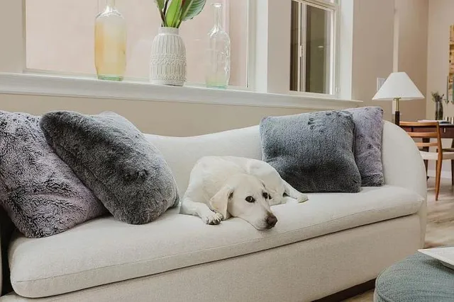 $1,985,000 | 2740 East Bainbridge Road, San Diego, CA 92106