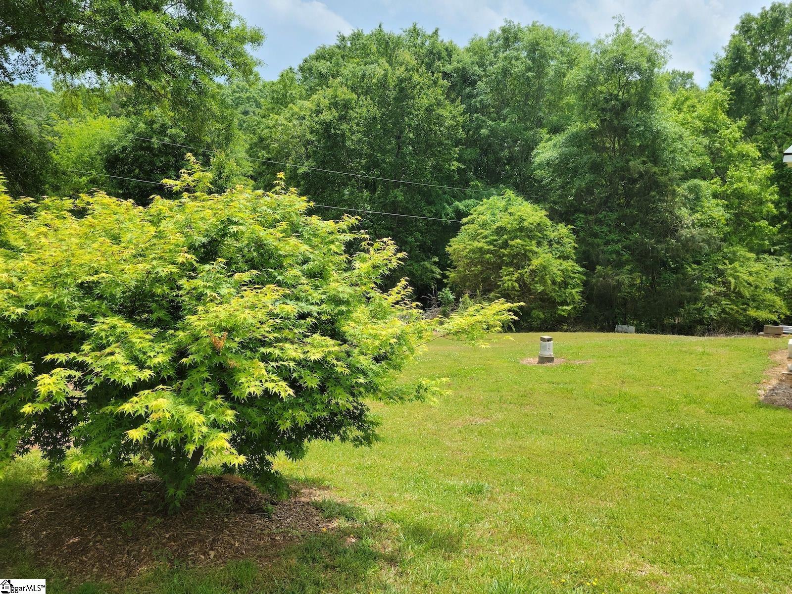 707 Swaney Lane Pendleton, SC 29670 - Photo 24 of 26