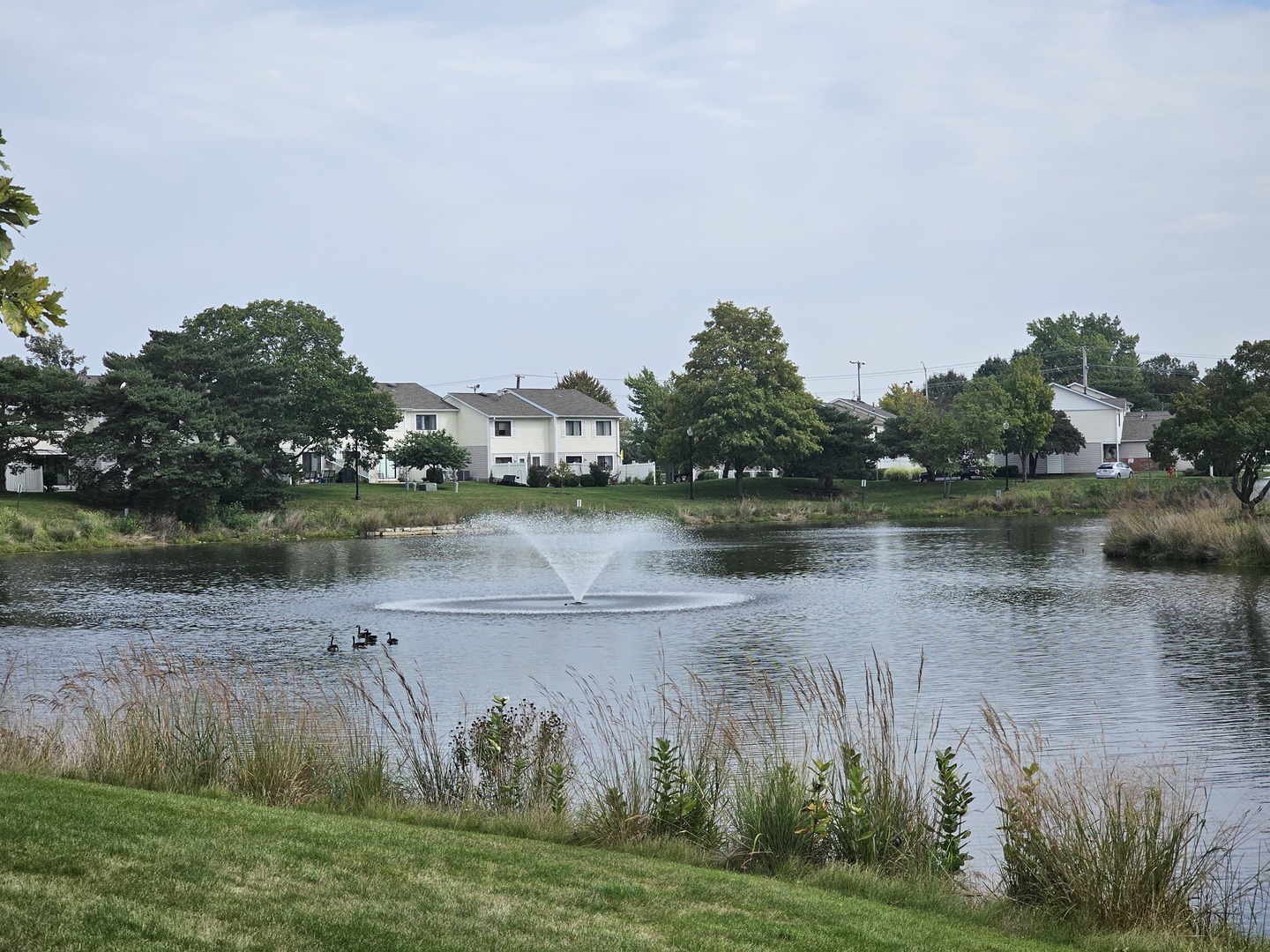 608 Bayview Point Schaumburg, IL 60194 - Photo 28 of 31 a view of a lake with houses in the back