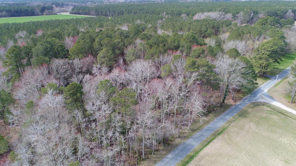 0 Drummondtown Road Accomac, VA 23301 - Photo 30 of 50