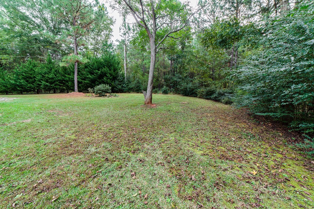 964 Washington Road Hamilton, GA 31811 - Photo 8 of 44 Gallery Image 8