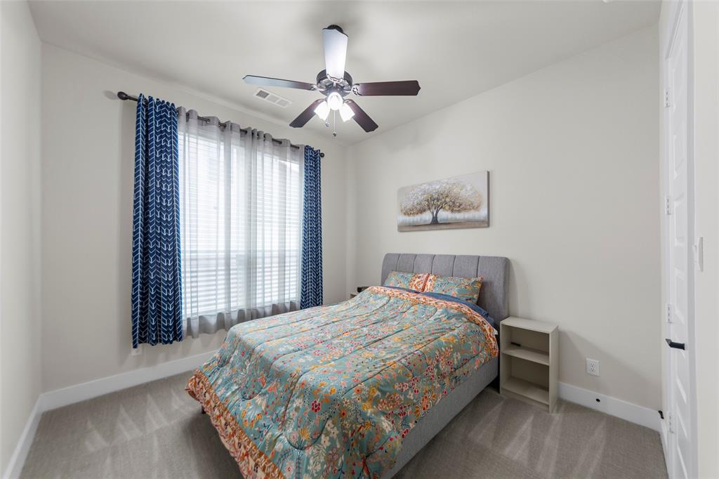 14736 Gerbera Daisy Road Frisco, TX 75035 - Photo 26 of 40