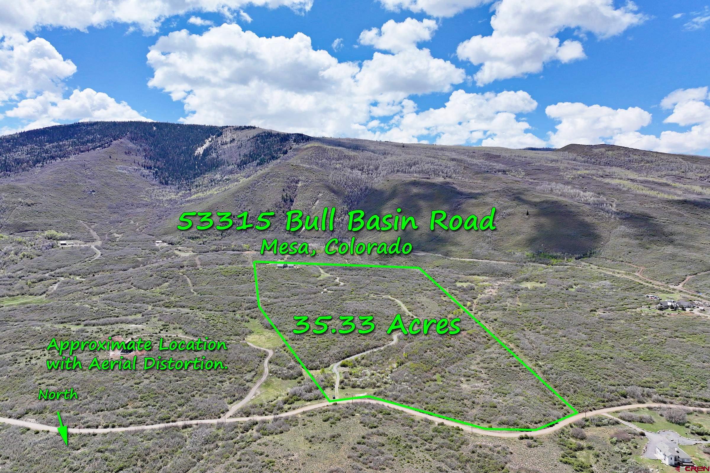 53315 Bull Basin Road Mesa, CO 81643 - Photo 8 of 44 a view of yard with tree