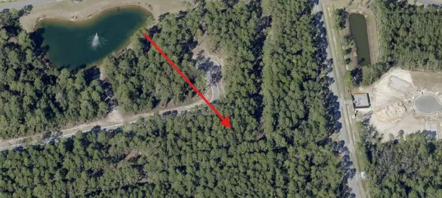 a close up of a plant