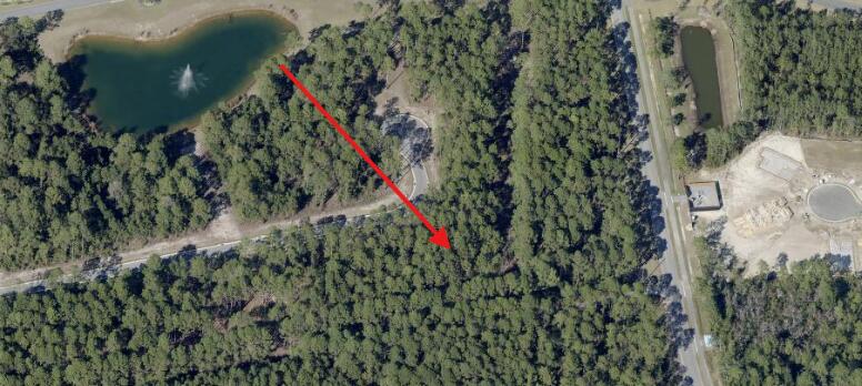 a close up of a plant