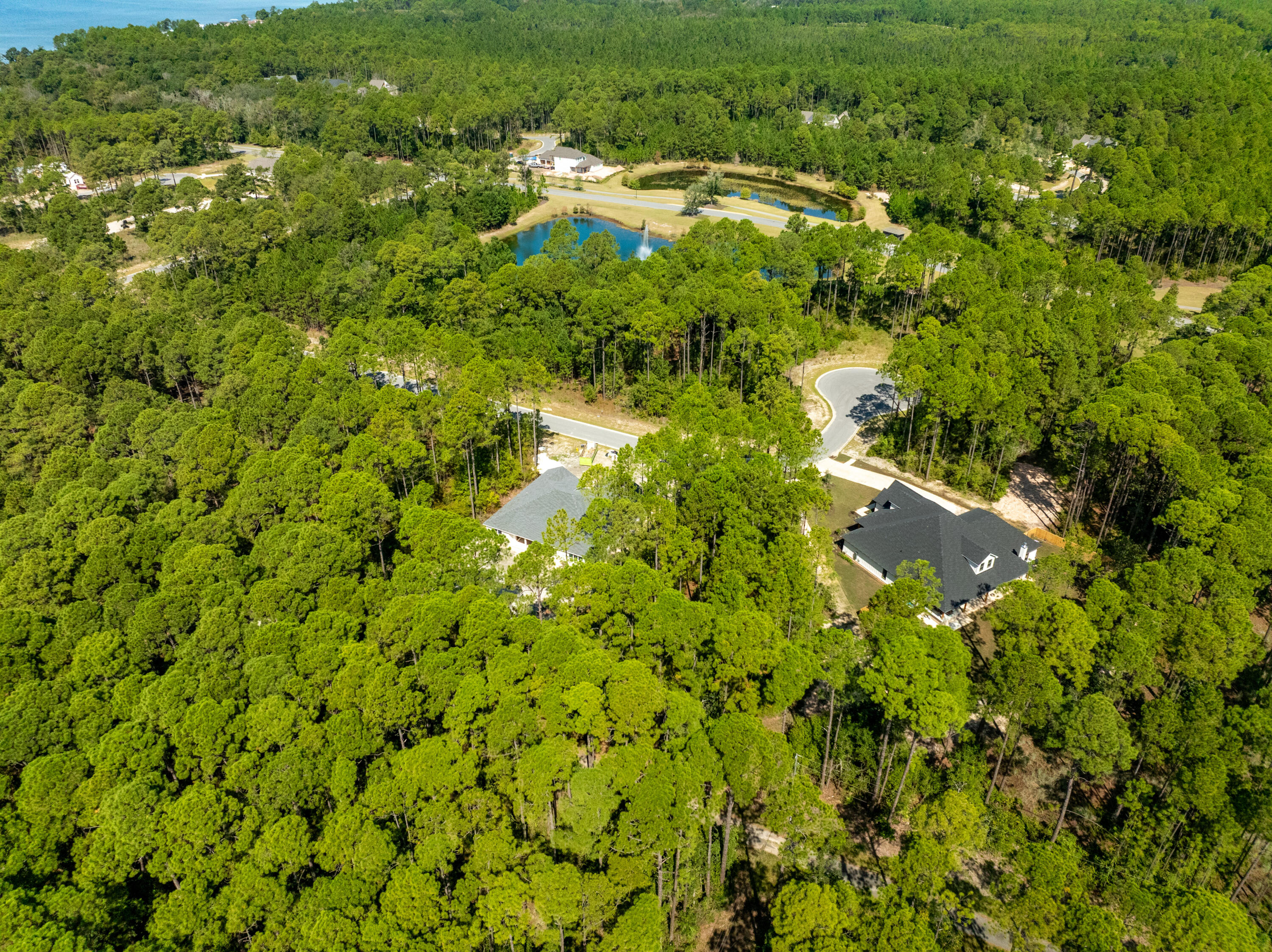 Lot 37 East Captain Fritz Way Freeport, FL 32439 - Photo 17 of 34 a view of a garden