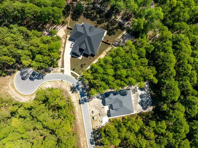 a view of a yard with plants and large trees