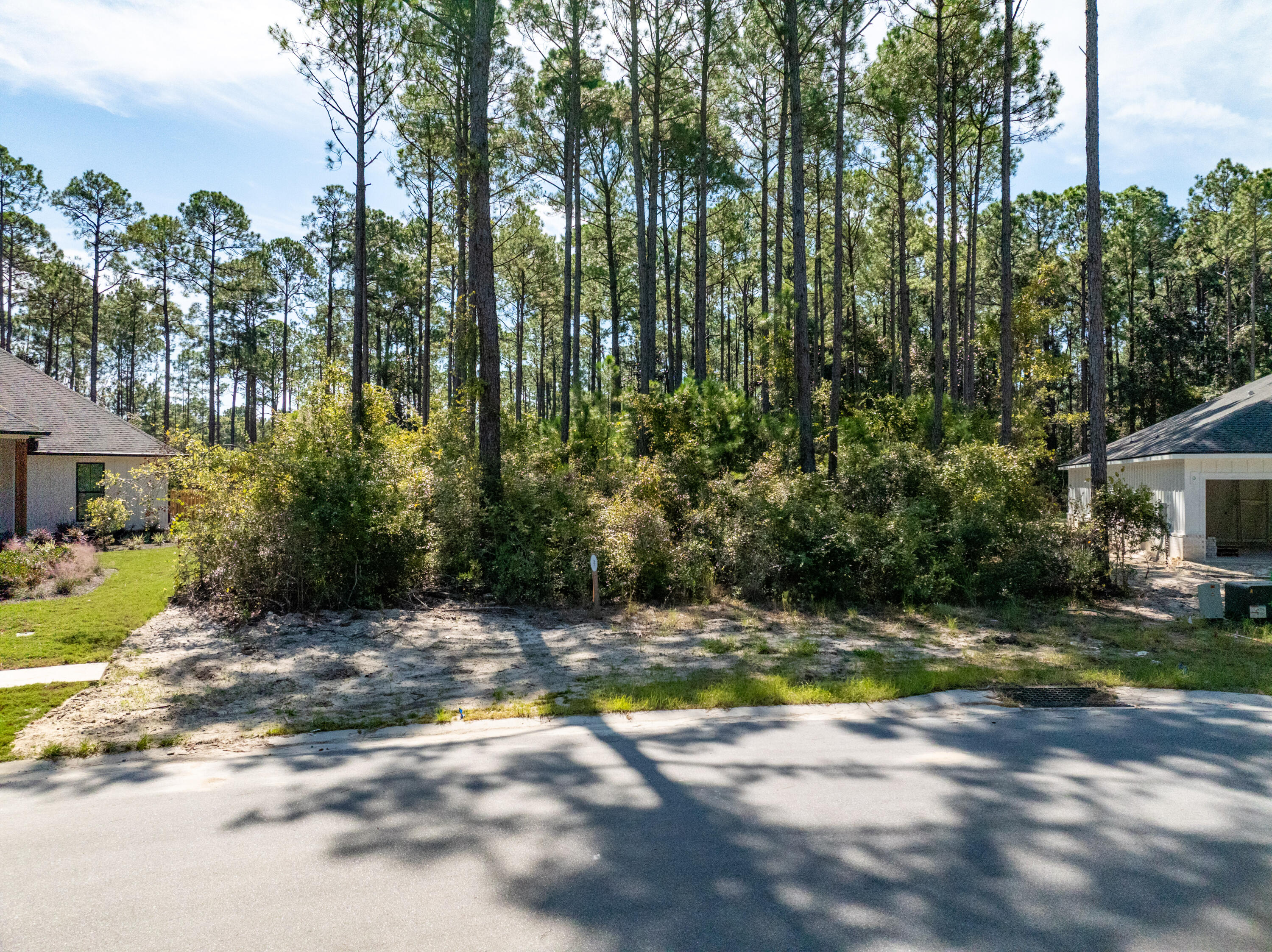 Lot 37 East Captain Fritz Way Freeport, FL 32439 - Photo 27 of 34 a view of a backyard with plants and trees