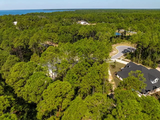 a view of a yard with plants and large trees