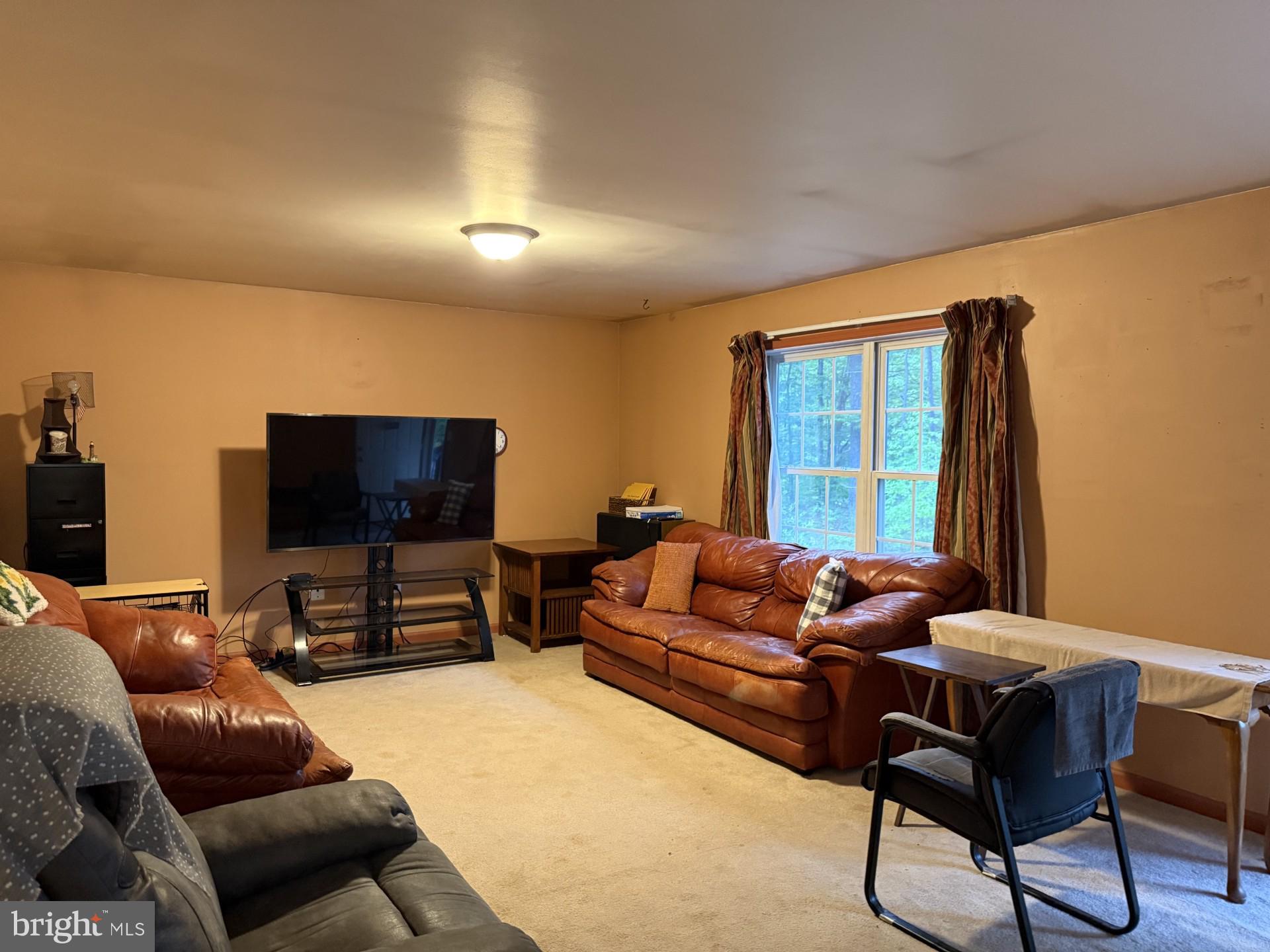 10374 Tower Road Unionville, VA 22567 - Photo 3 of 19