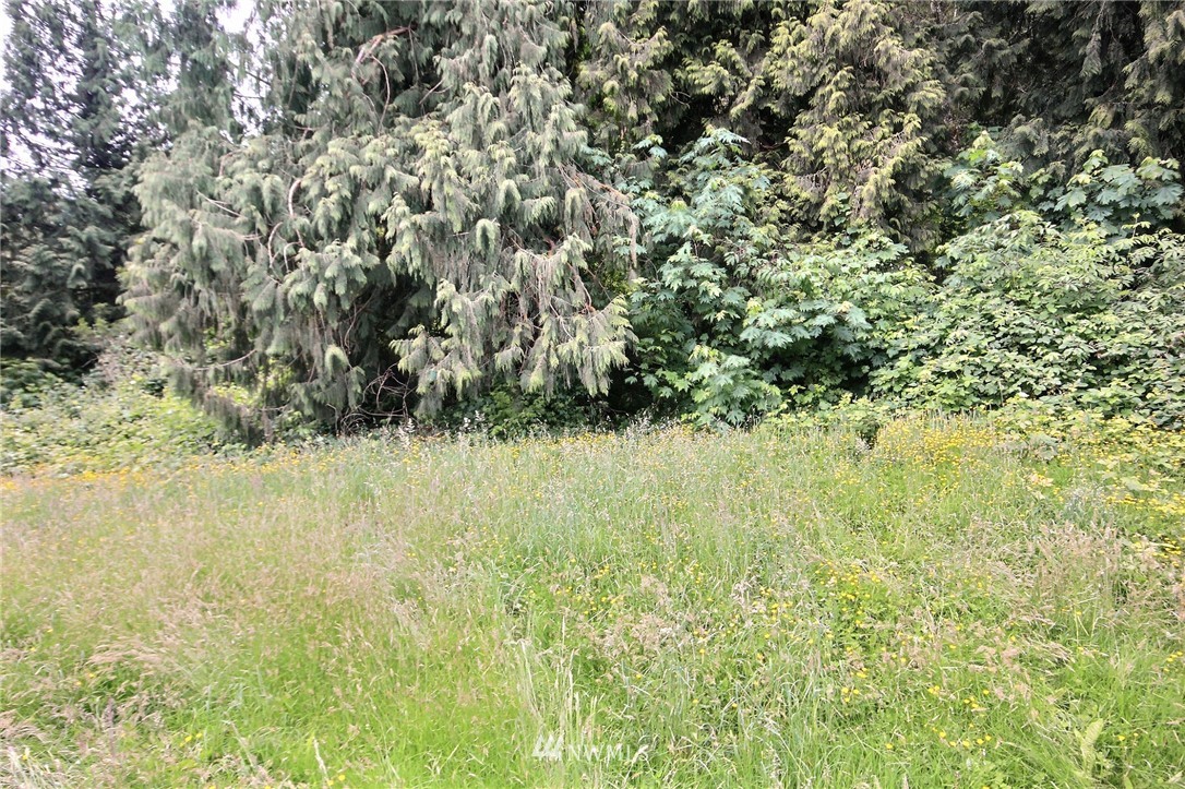22305 Southeast Bain Road Renton, WA 98058 - Photo 2 of 9