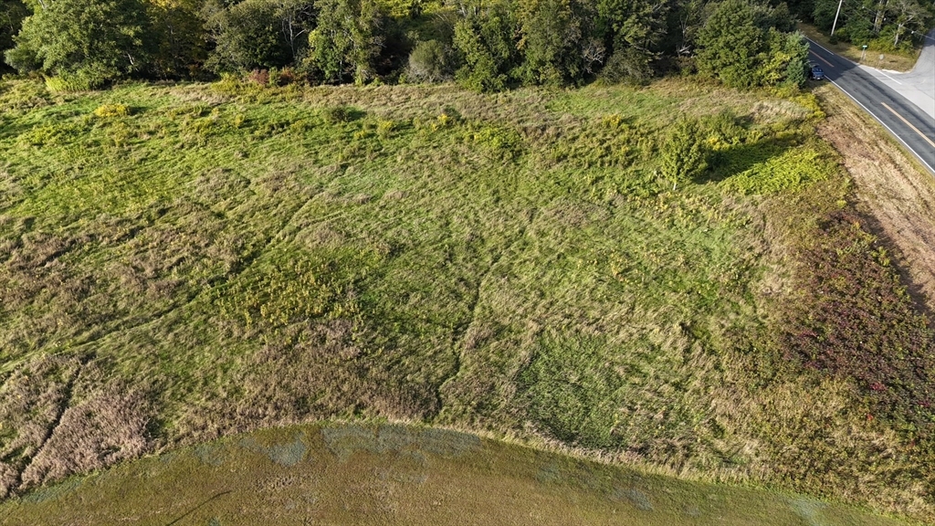 a view of a yard with a tree