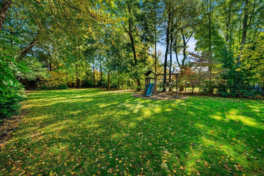29 Merrill Road Newton, MA 02459 - Photo 38 of 42 a view of a park with large trees
