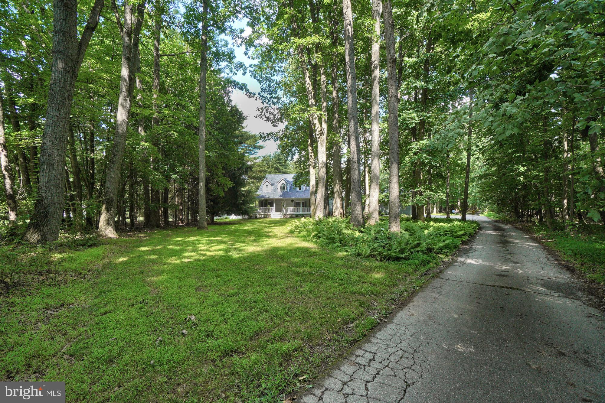 9836 Watkins Road Gaithersburg, MD 20882 - Photo 67 of 70 Long driveway leading to the house