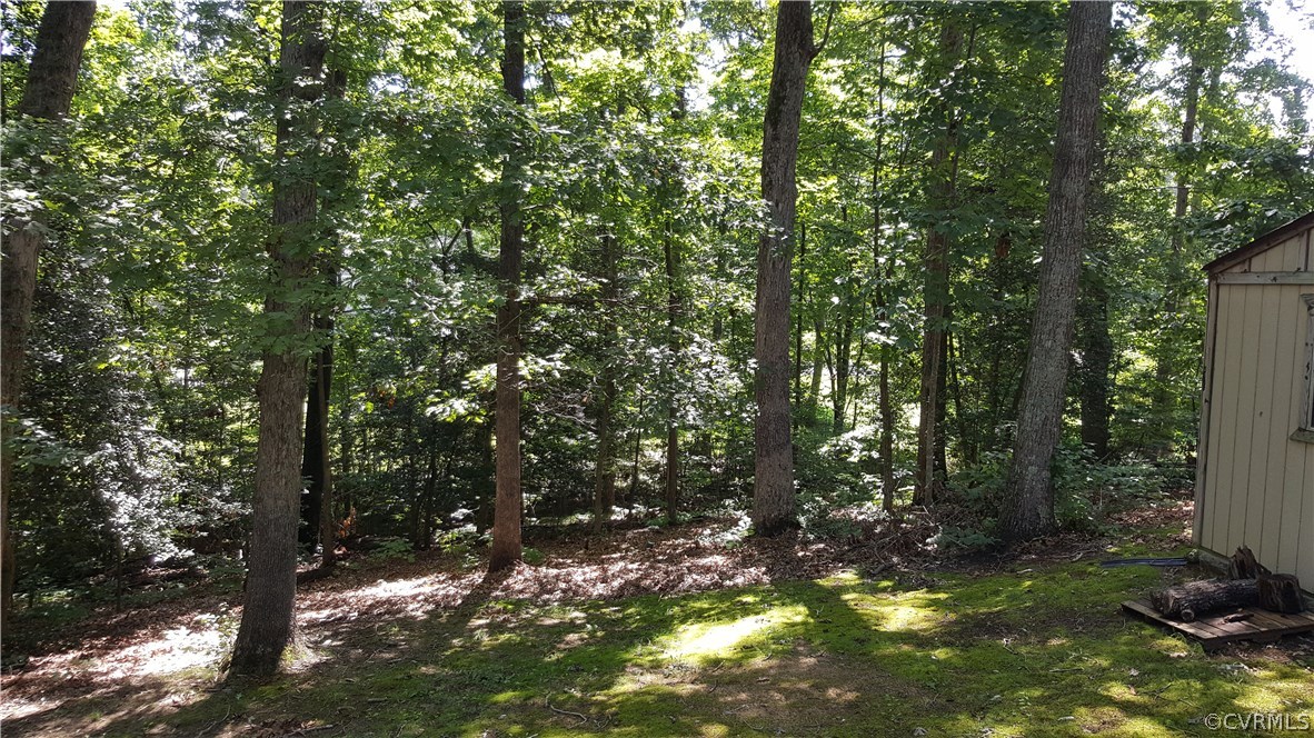 4801 Fordham Road Chesterfield, VA 23236 - Photo 14 of 15 a view of a tree in a yard
