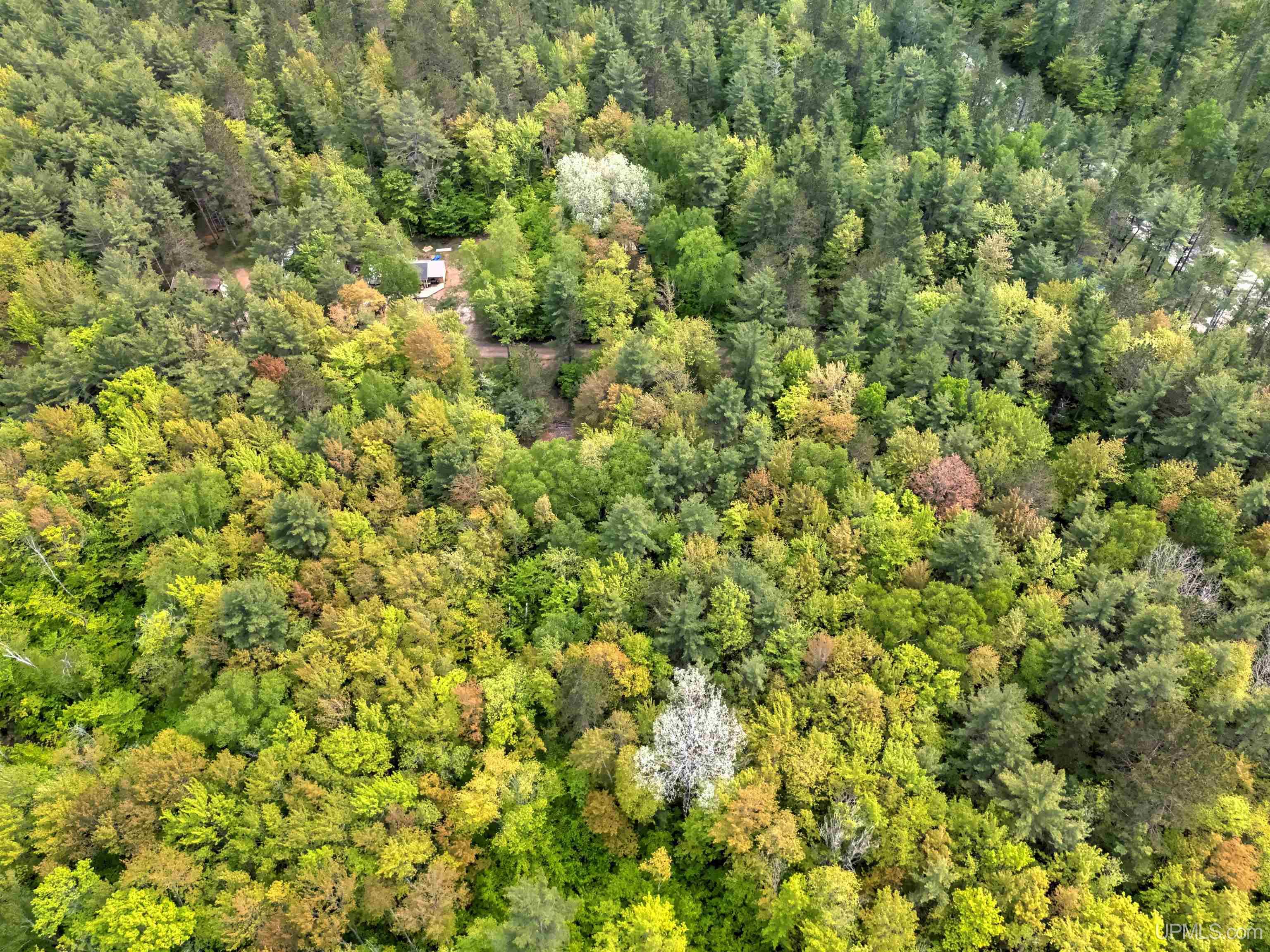11042 West Lilly Lake Road Manistique, MI 49854 - Photo 6 of 12