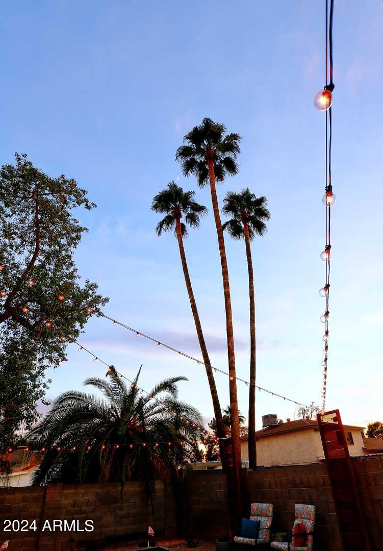 2415 West Redfield Road Phoenix, AZ 85023 - Photo 54 of 71 Moon Over Palm Trees