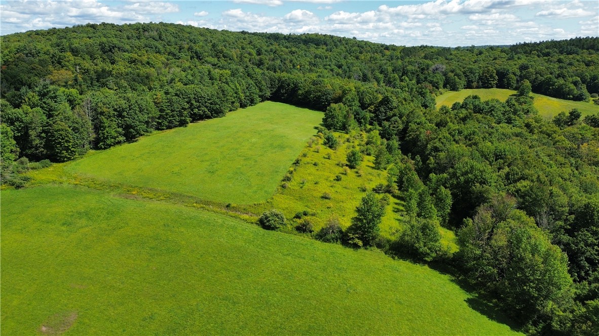 149 Will Sheldon Road Otego, NY 13825 - Photo 22 of 49 Gallery Image 22