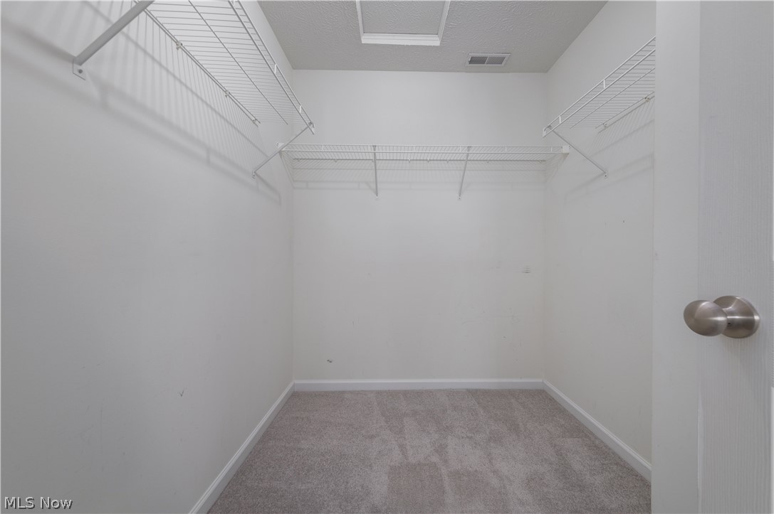 157 Stone Ridge Way Berea, OH 44017 - Photo 33 of 50 Primary Walk-In Closet