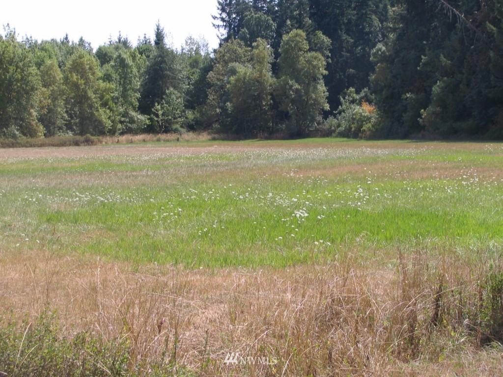 15643 Vail Cut Off Road Southeast Rainier, WA 98576 - Photo 1 of 1 Gallery Image 1
