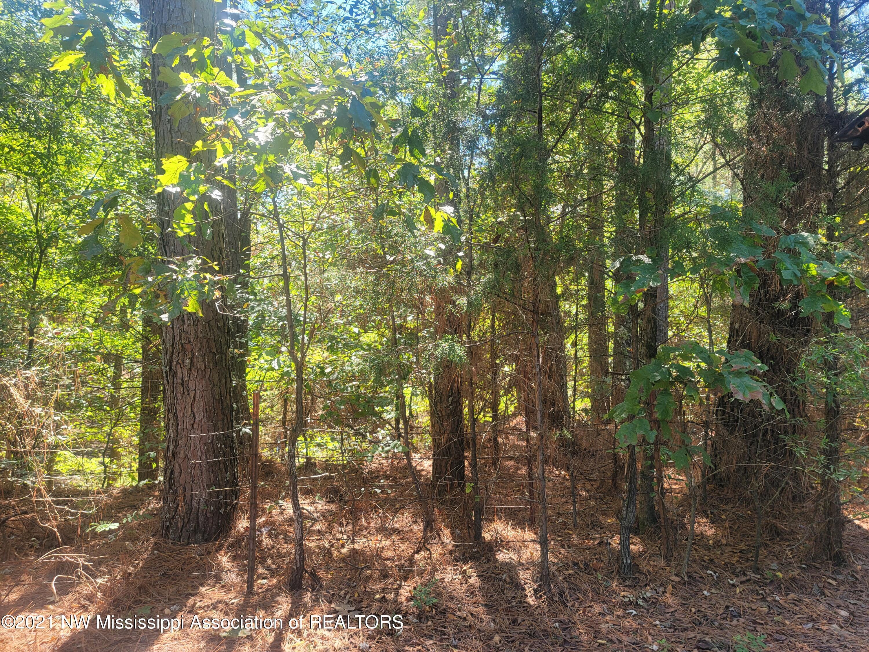 Lot 2 Cole Road Olive Branch, MS 38654 - Photo 3 of 3 20210924_124014