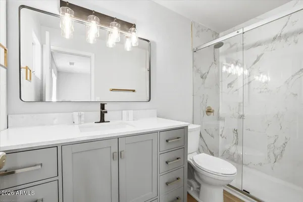 a bathroom with a sink a toilet a mirror a vanity and shower
