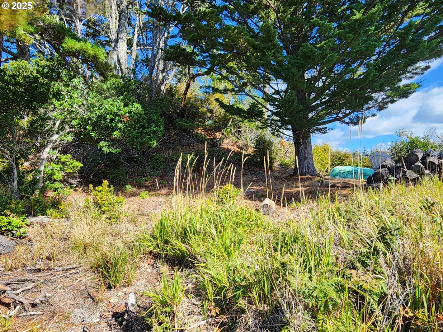 Garrison Lake Road, Unit 2500 Port Orford, OR 97465 - Photo 14 of 19 a view of backyard of house with green space