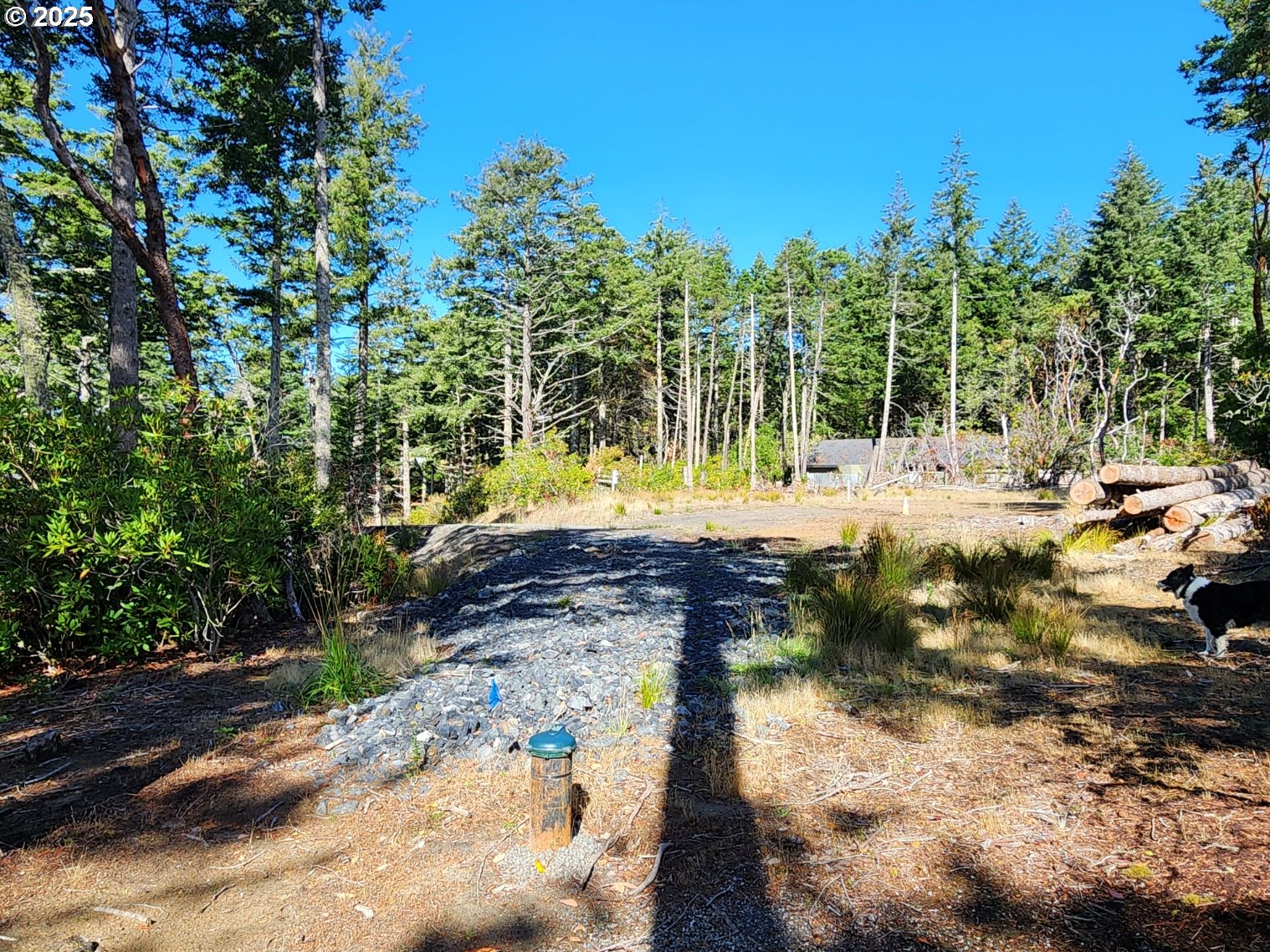 Garrison Lake Road, Unit 2500 Port Orford, OR 97465 - Photo 17 of 19 a view of a yard with trees