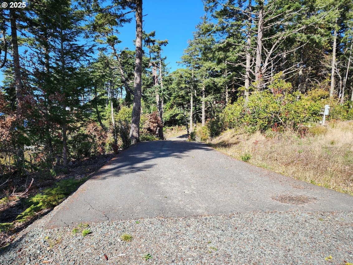 Garrison Lake Road, Unit 2500 Port Orford, OR 97465 - Photo 18 of 19 a view of a yard with plants and trees