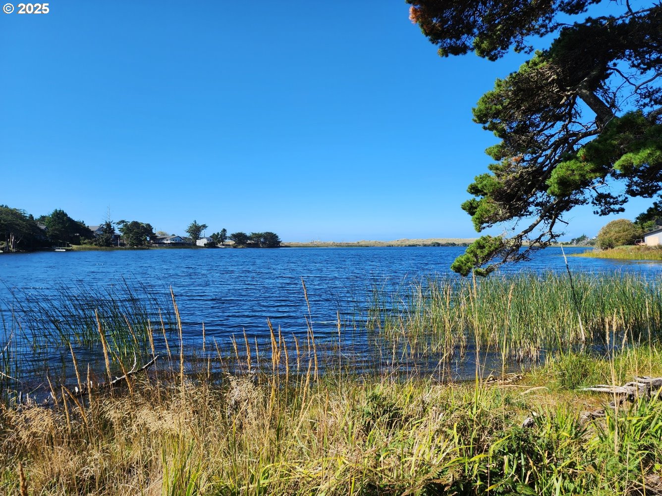 Garrison Lake Road, Unit 2500 Port Orford, OR 97465 - Photo 2 of 19 a view of swimming pool of water with lawn chairs and large tree