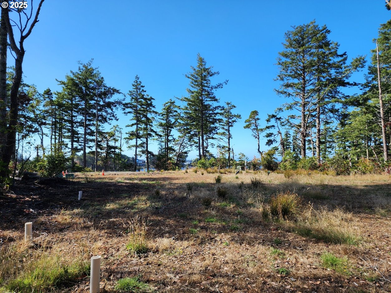 Garrison Lake Road, Unit 2500 Port Orford, OR 97465 - Photo 4 of 19 a view of a yard with a tree