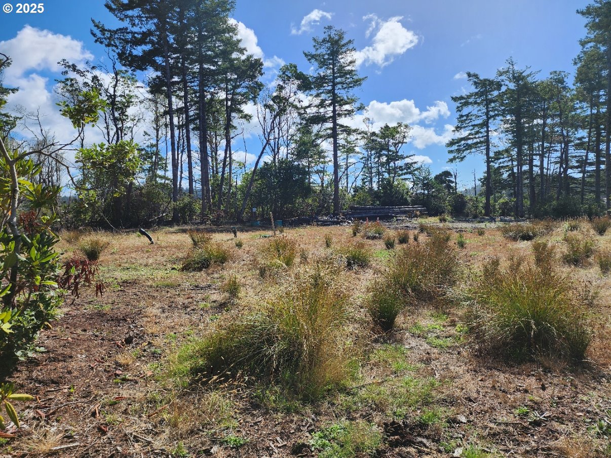 Garrison Lake Road, Unit 2500 Port Orford, OR 97465 - Photo 5 of 19 a view of a yard with large trees