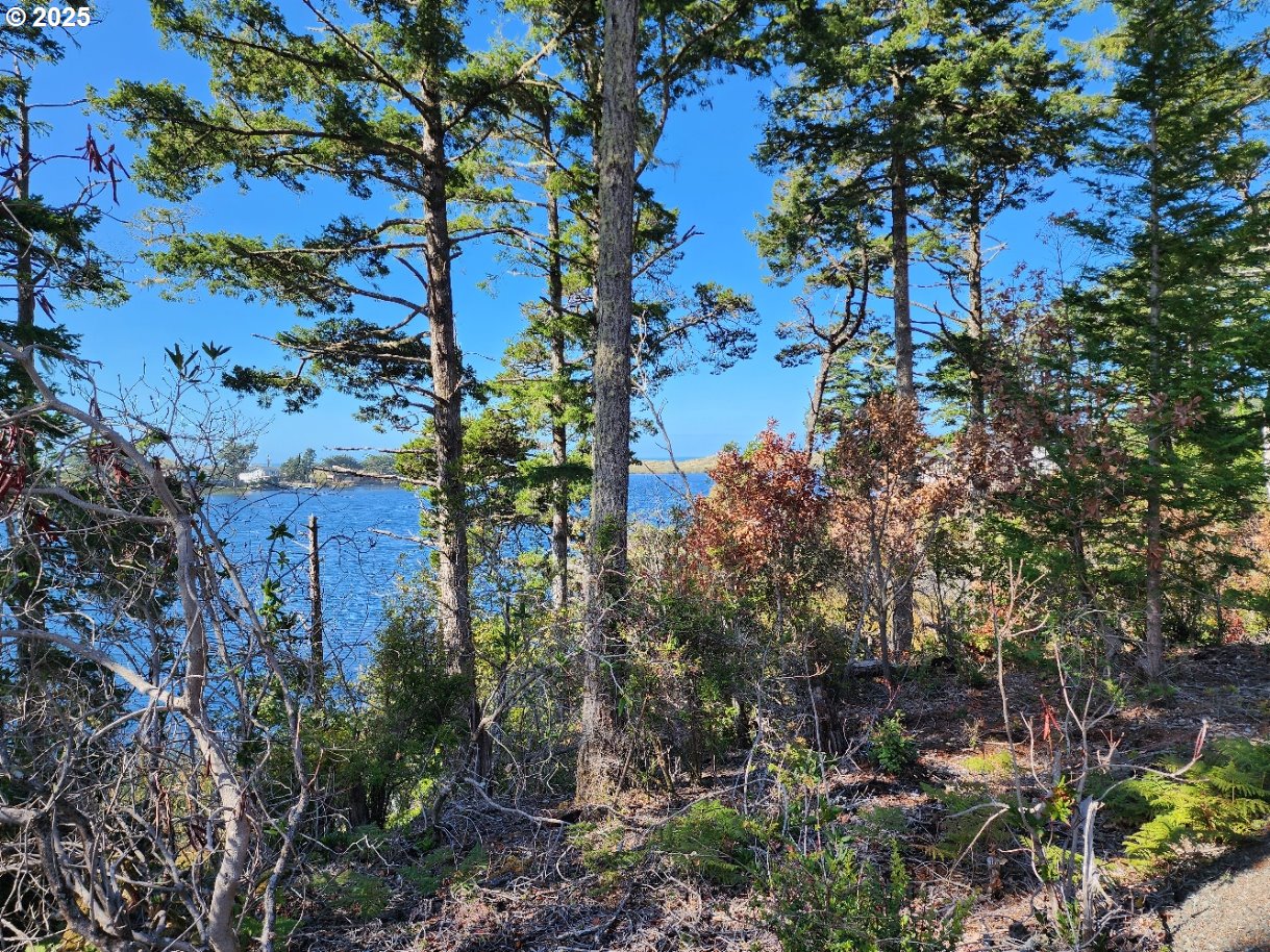 Garrison Lake Road, Unit 2500 Port Orford, OR 97465 - Photo 6 of 19 a picture of plants