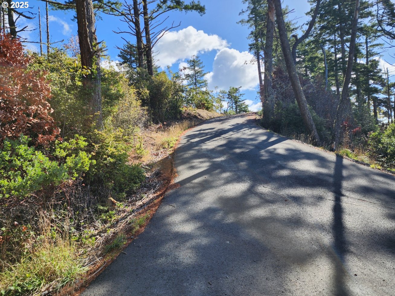 Garrison Lake Road, Unit 2500 Port Orford, OR 97465 - Photo 7 of 19 a view of a yard with plants and trees