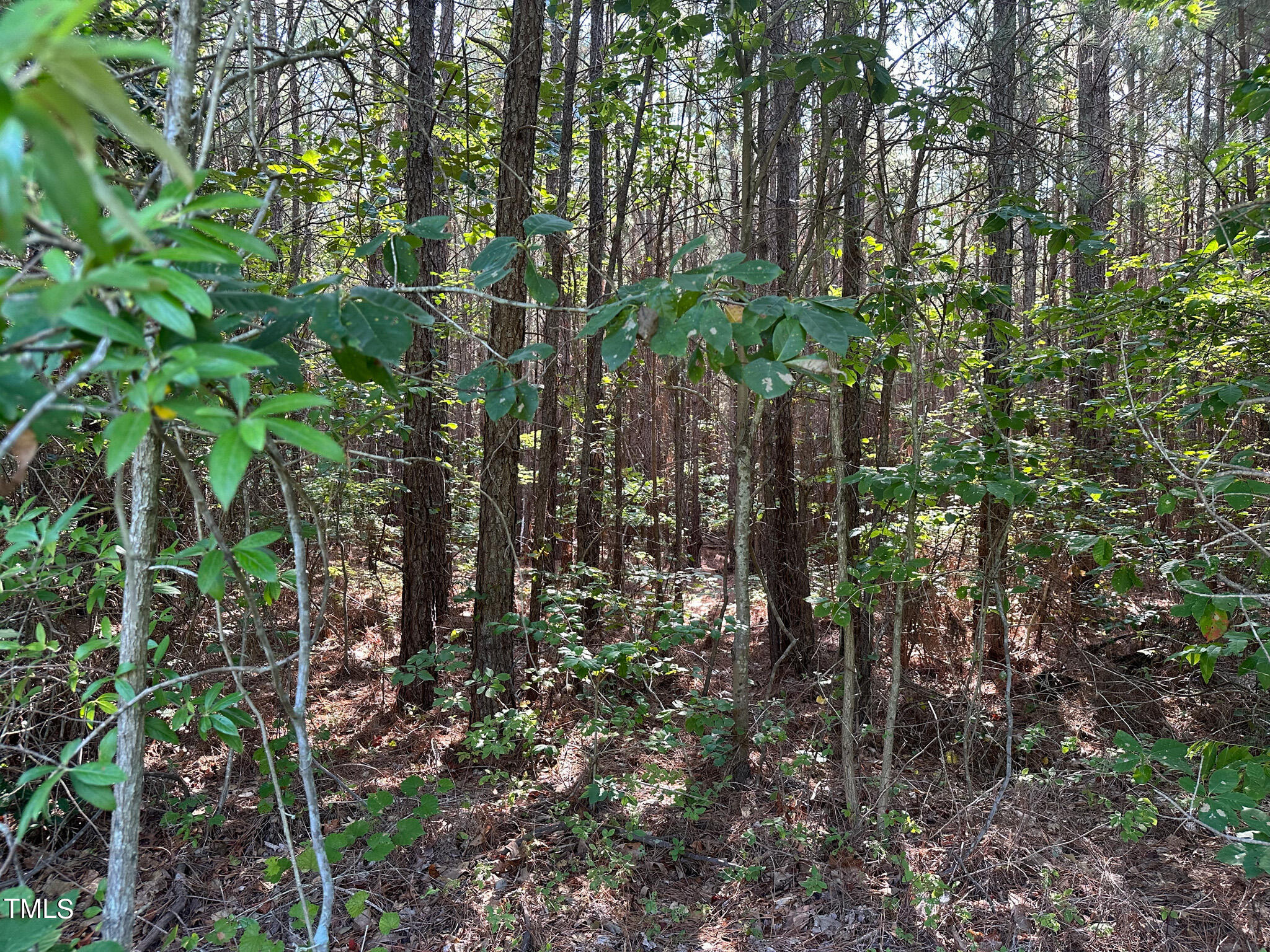 0 McDuffie Road Biscoe, NC 27209 - Photo 16 of 19 Pic 16 McDuffie Road