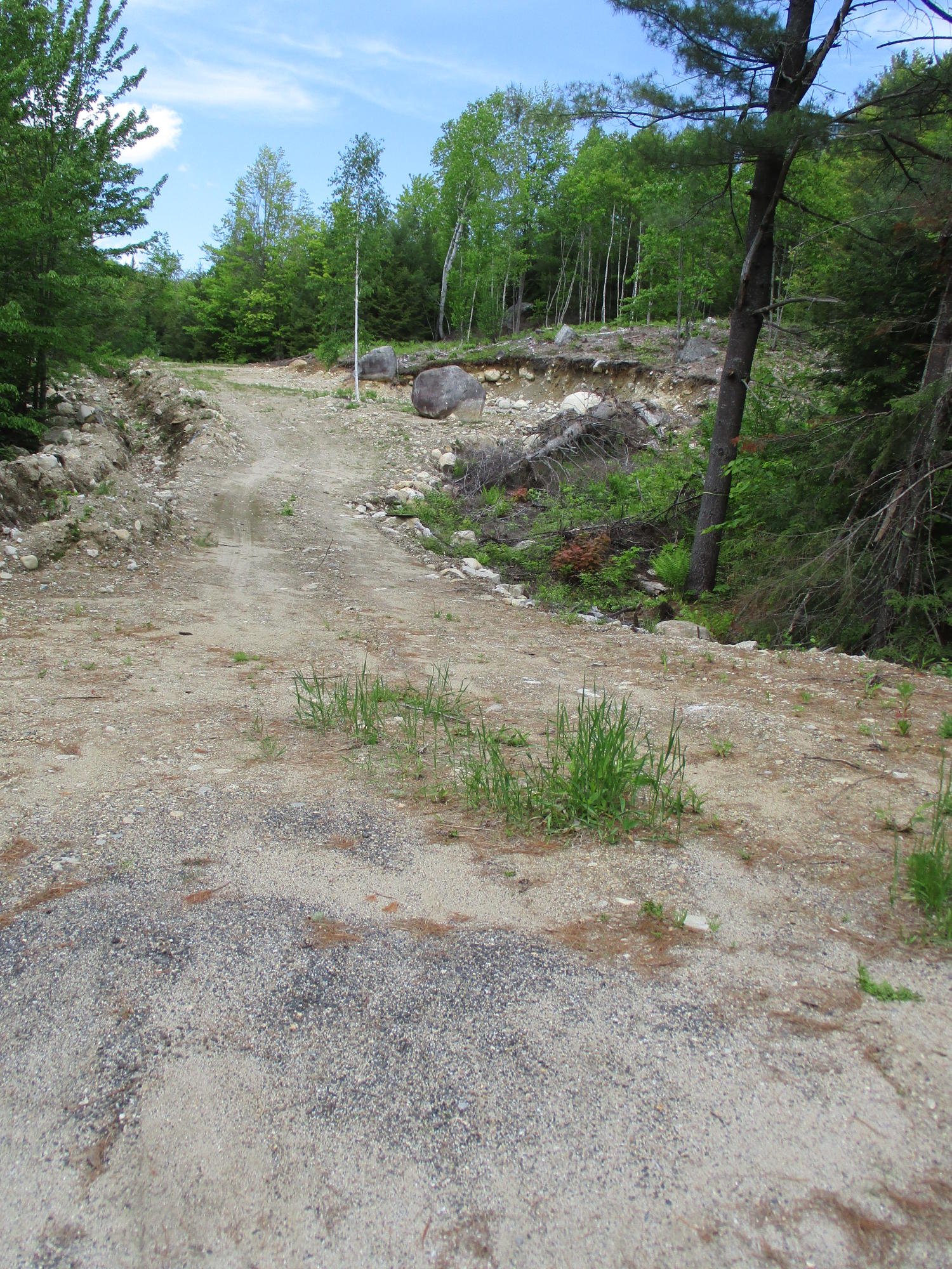 85 Ricker Hill Road Hartford, ME 04220 - Photo 2 of 4 Bruce Richards (2)