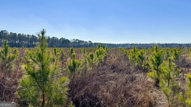 a view of a yard with a lake view