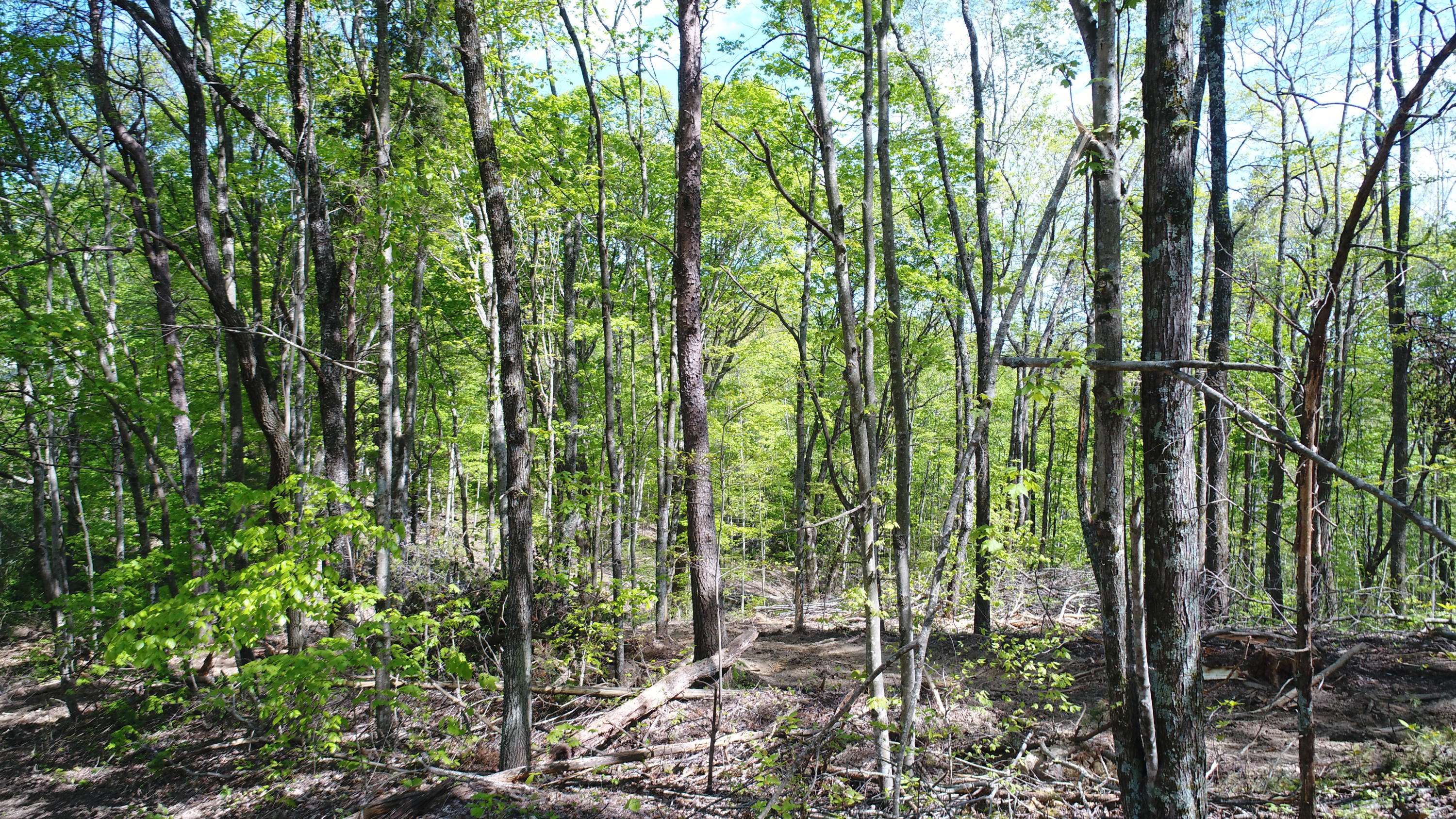 1234 Pine Ridge Road Somerset, KY 42501 - Photo 29 of 34 DJI_0337