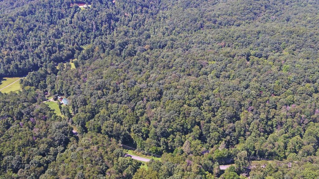 1374 Lucius Road Cherry Log, GA 30522 - Photo 59 of 64 Gallery Image 59