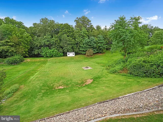 a view of a grassy field with trees