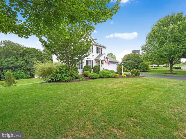 a view of a big yard with plants and large trees