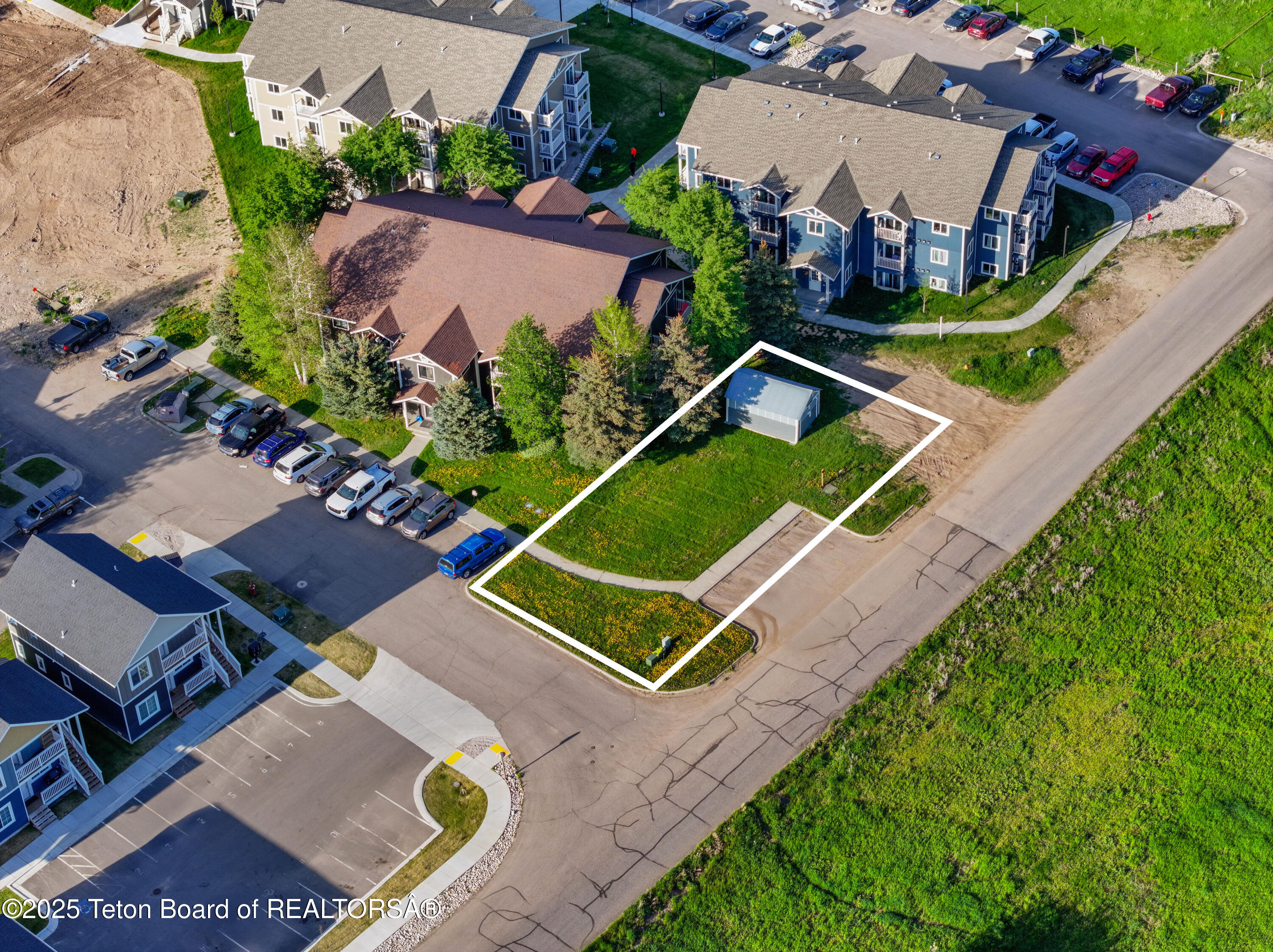 Clubmoss aerial 1 LL